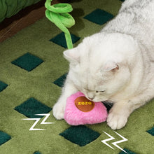 Load image into Gallery viewer, Cat Playing with Pink Plush Pillow Cat Toy | Cat Toys | MissyMoMo
