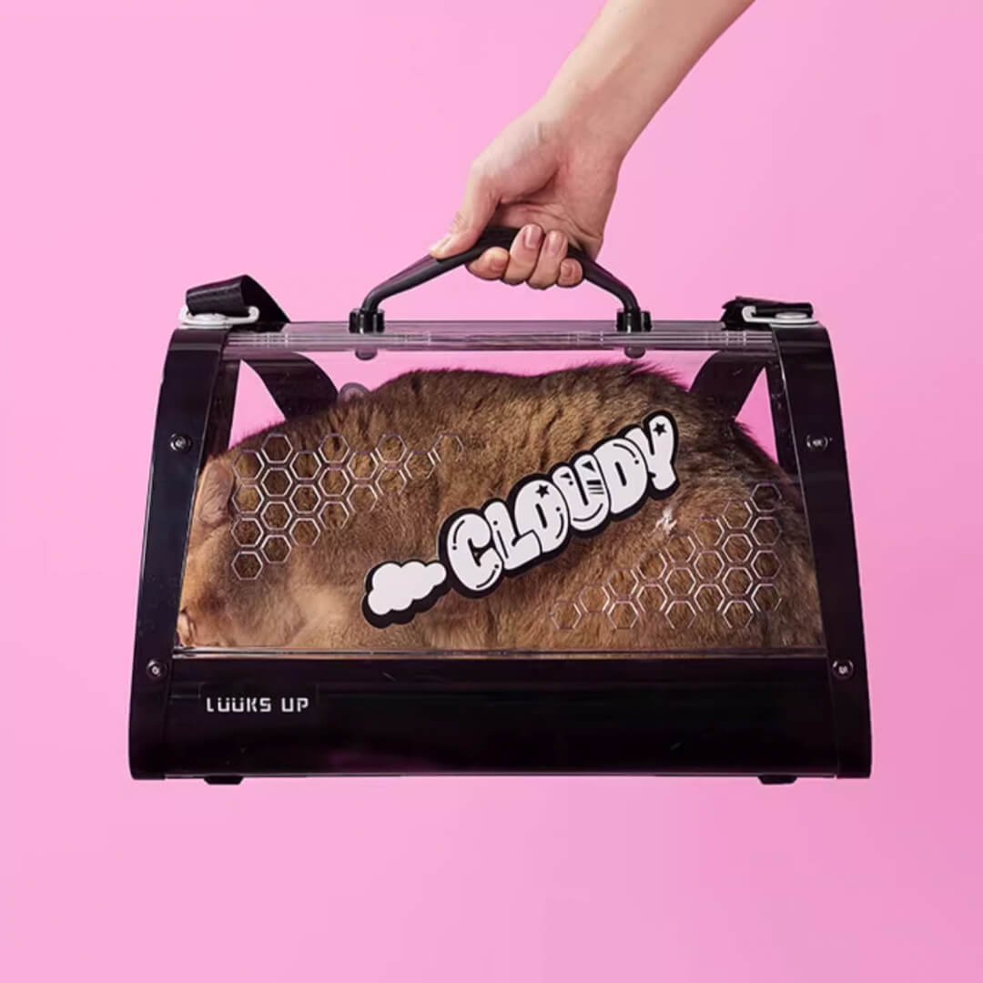 KittyMoMo Pink Clear Hard Cat Carrier | MissyMoMo