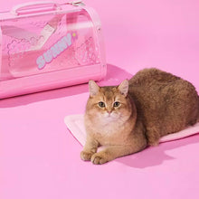 Load image into Gallery viewer, Cat with KittyMoMo Pink Clear Hard Cat Carrier | MissyMoMo
