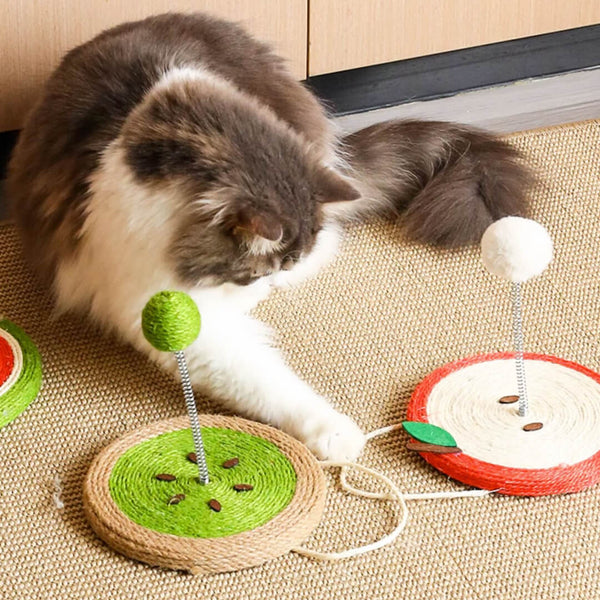 Cat Playing with Kiwi Sisal Scratcher with Sisal Spring Ball | Interactive Cat Toys | MissyMoMo