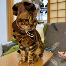 Load image into Gallery viewer, Cat in Leopard Print Cat Hat &amp; Bib | MissyMoMo

