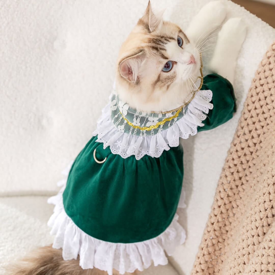 Little Princess Cat Dress | Cute Dress for Cats | MissyMoMo Little Princess Cat Dress | Cute Dress for Cats | MissyMoMo