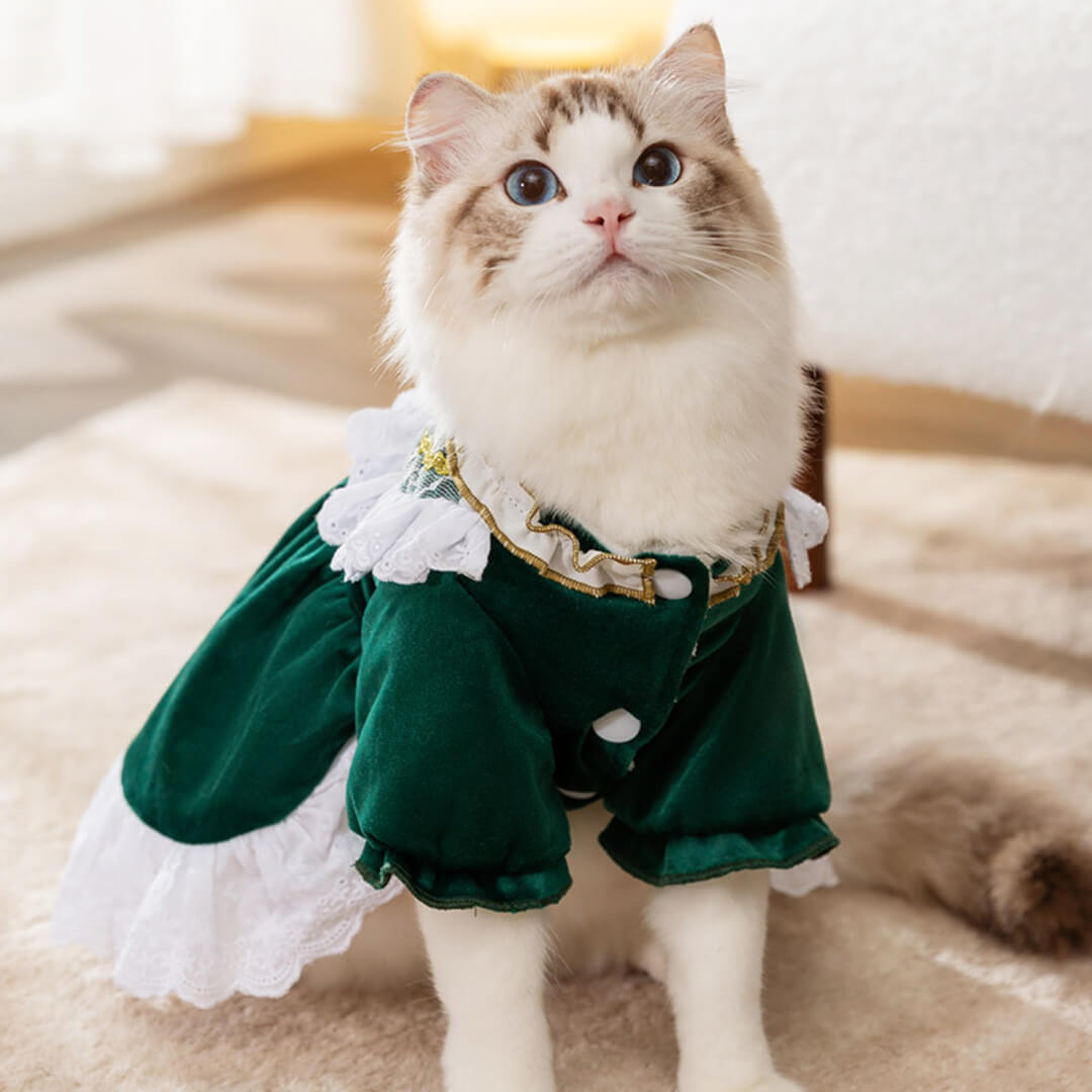 Little Princess Cat Dress Cute Dress for Cats MissyMoMo