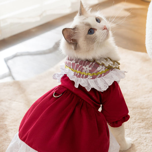 Cat in Cute Red Dress | MissyMoMo