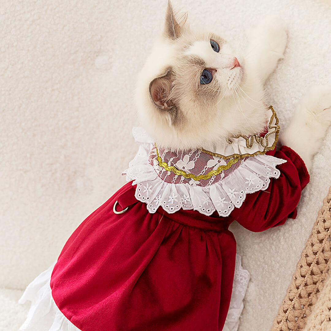 Little Princess Cat Dress Little Princess Cat Dress