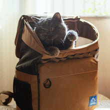 Load image into Gallery viewer, Cat Inside an Outdoor Cat Backpack | MissyMoMo
