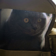 Load image into Gallery viewer, Mesh Side of a Cat Backpack | MissyMoMo
