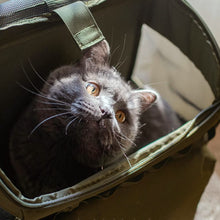 Load image into Gallery viewer, Cat Inside a Green Cat Backpack | MissyMoMo
