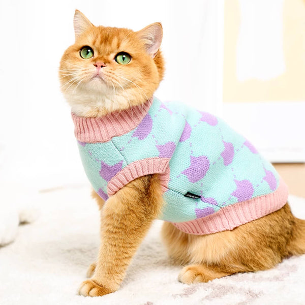 Cat in Cute Sweater | MissyMoMo