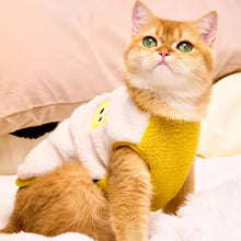 Load image into Gallery viewer, Cat in Cute Yellow Vest | MissyMoMo
