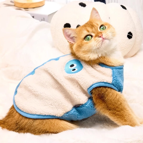 Cat in Cute Blue Vest | MissyMoMo