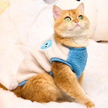 Load image into Gallery viewer, Cat in Cute Blue Vest | MissyMoMo
