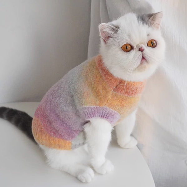 Cat in Tie-dye Sweater | MissyMoMo