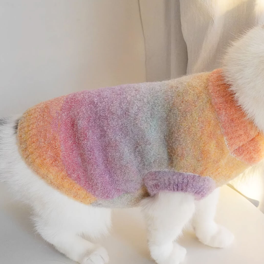 Rainbow Series Tie-Dye Cat Clothes
