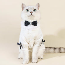 Load image into Gallery viewer, Missy Cat Shirt | Cat in White Shirt with Bow Tie | MissyMoMo
