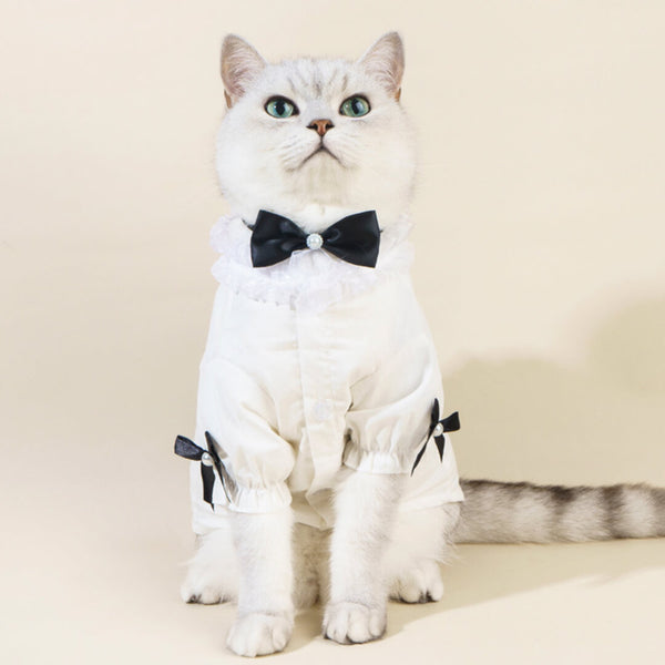 Missy Cat Shirt | Cat in White Shirt with Bow Tie | MissyMoMo