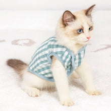 Load image into Gallery viewer, Kitten in Green Reversible Jacket | MissyMoMo
