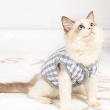 Load image into Gallery viewer, Kitten in Gray Reversible Jacket | MissyMoMo
