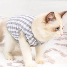 Load image into Gallery viewer, Kitten in Gray Reversible Jacket | MissyMoMo
