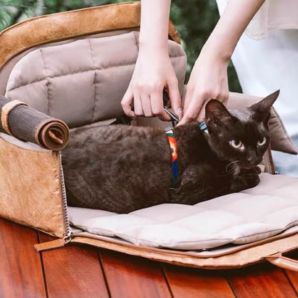 Black Cat Sitting in Brown Leather Cat Car Seat Carrier | MissyMoMo