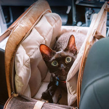 Load image into Gallery viewer, Black Cat Sitting in Brown Leather Cat Car Seat Carrier | MissyMoMo
