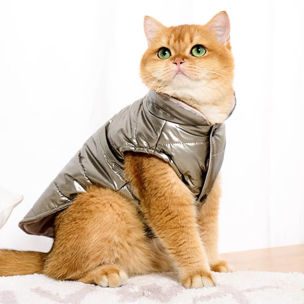 Cat in Silver Puffer Jacket | MissyMoMo