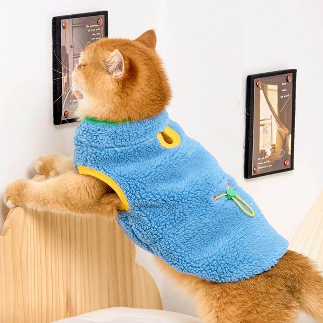 MoMo Cat Jacket | Fleece Jacket for Cats | MissyMoMo