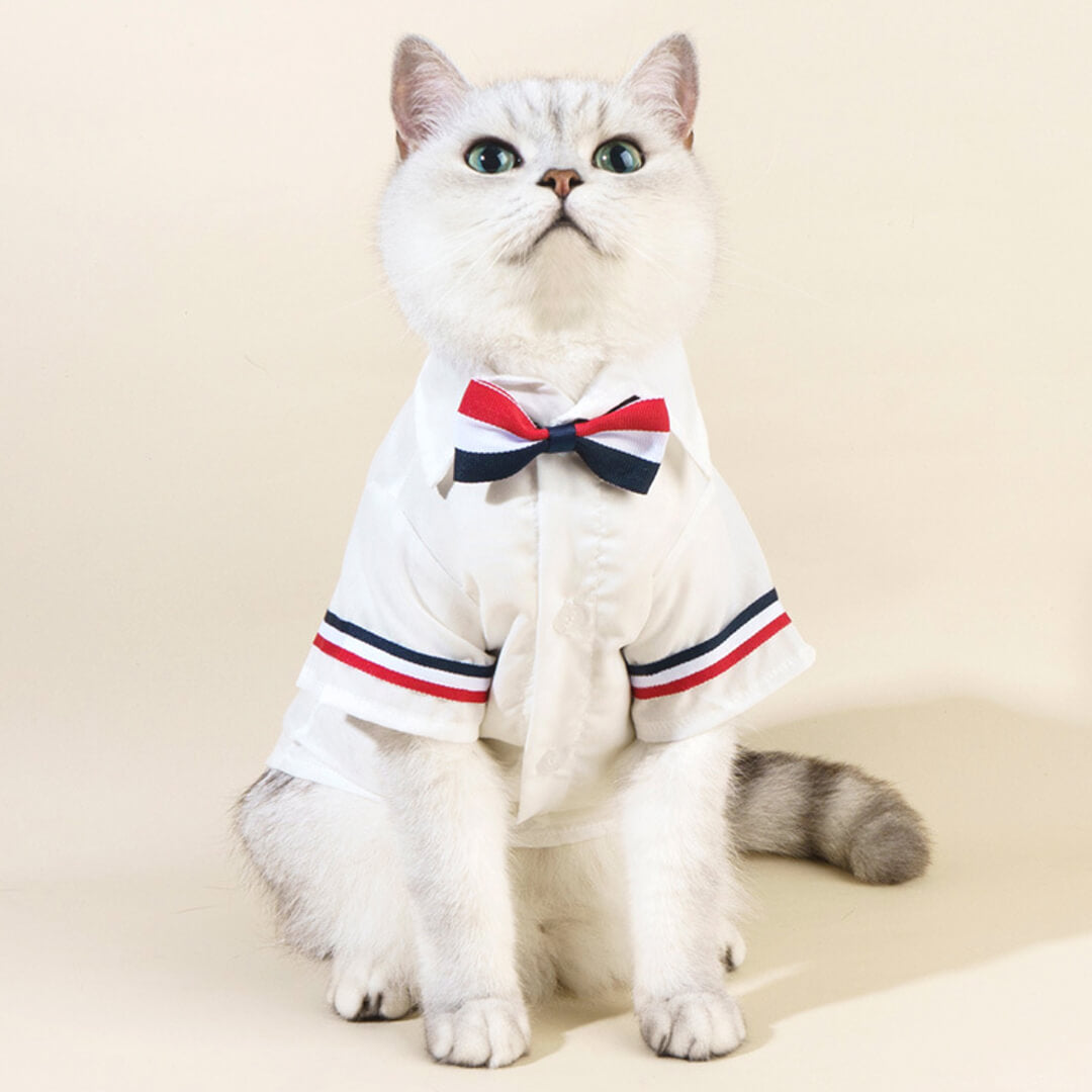 MoMo Cat Shirt Shirt Bow Tie for Cats MissyMoMo