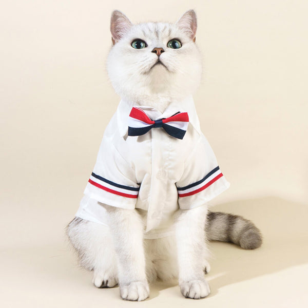 MoMo Cat Shirt | Cat in White Shirt with Bow Tie | MissyMoMo