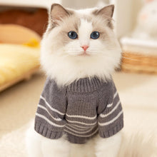 Load image into Gallery viewer, Cat in Gray Striped Sweater | MissyMoMo
