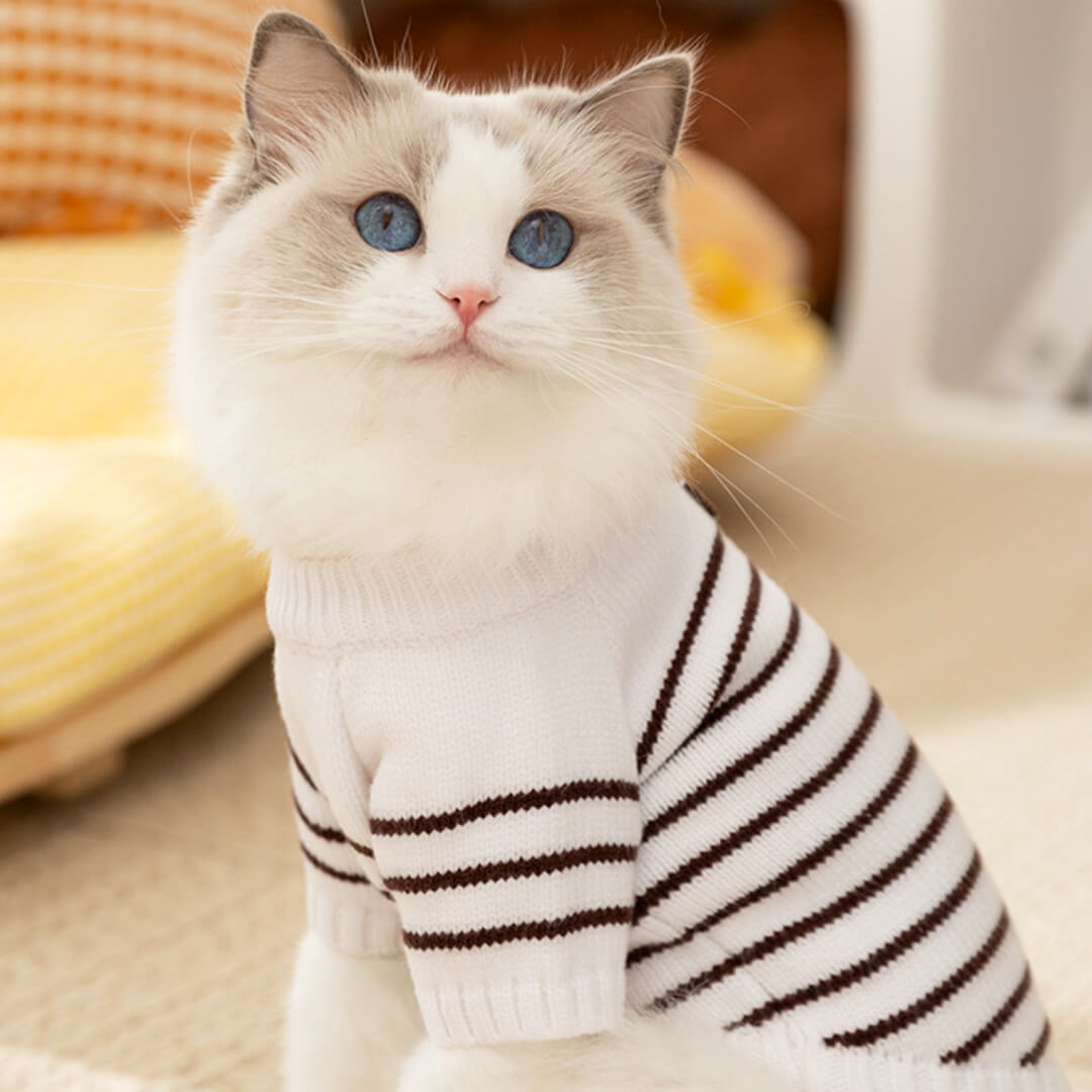 MoMo Cat Sweater Striped Sweater for Cats MissyMoMo