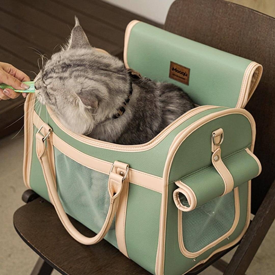 Stylish Foldable Leather Cat Carrier for Travel | MissyMoMo