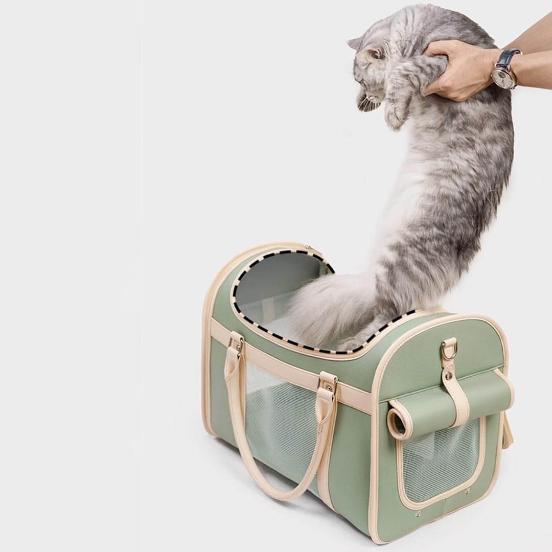 Carys Charismatic Cat キャリーズ チャリスマティック Stylish Foldable Leather Cat Carrier for Travel | MissyMoMo