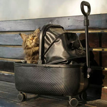 Load image into Gallery viewer, Maine Coon Sitting in Black Cat Stroller | Stylish Cat Carrier with Wheels | MissyMoMo
