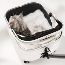 Load image into Gallery viewer, Cat Sitting in White Cat Stroller | Stylish Cat Carrier with Wheels | MissyMoMo
