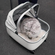 Load image into Gallery viewer, Cat Sitting in White Cat Stroller | Stylish Cat Carrier with Wheels | MissyMoMo
