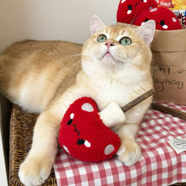 Cat with Cute Mushroom Silvervine Cat Chew Toy | MissyMoMo