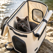 Load image into Gallery viewer, Noma Cat Backpack with Cat Inside Open Top | MissyMoMo
