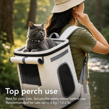 Load image into Gallery viewer, Noma Cat Backpack with Cat on Top Platform | MissyMoMo
