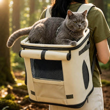 Load image into Gallery viewer, Noma Cat Backpack with Cat Riding on Top Perch | MissyMoMo
