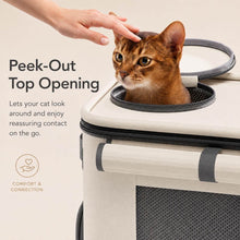 Load image into Gallery viewer, Noma Cat Backpack with Peek-Out Top Opening | MissyMoMo
