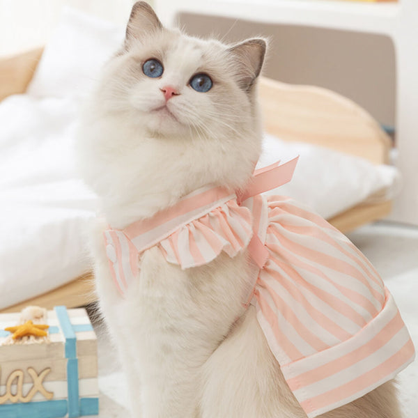 Cat in Summer Striped Dress | Pink Dress for Pets | MissyMoMo