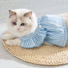 Load image into Gallery viewer, Cat in Blue Summer Striped Vest | MissyMoMo

