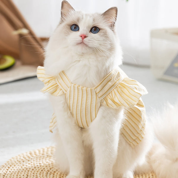 Cat in Yellow Summer Striped Vest | MissyMoMo
