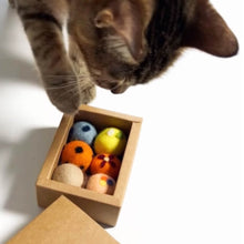 Load image into Gallery viewer, Cat with Cute Wool Felt Cat Ball Toys | MissyMoMo
