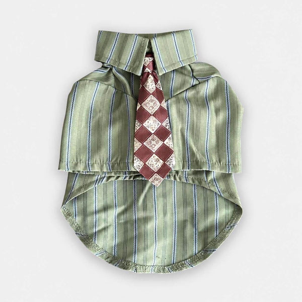 Oxford Cat Shirt in Sage Green with Burgundy Patterned Tie | MissyMoMo