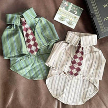Load image into Gallery viewer, Oxford Cat Shirt in Sage Green and Cream | Striped Cat Shirts with Burgundy Ties | MissyMoMo
