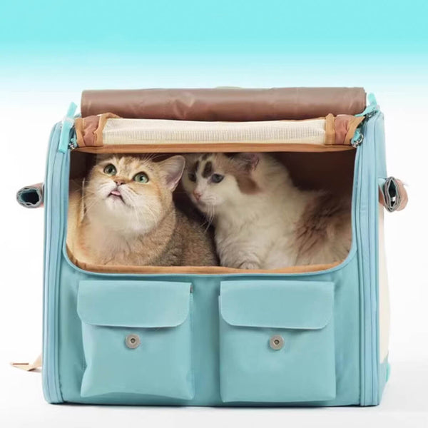 2 Cats Sitting Inside Collapsible Blue Cat Backpack |  MissyMoMo