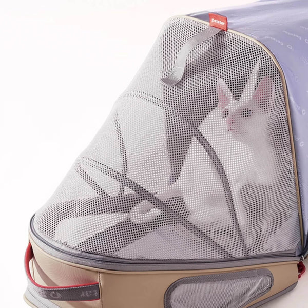 Cat Inside Mesh Expandable Cat Backpack | MissyMoMo