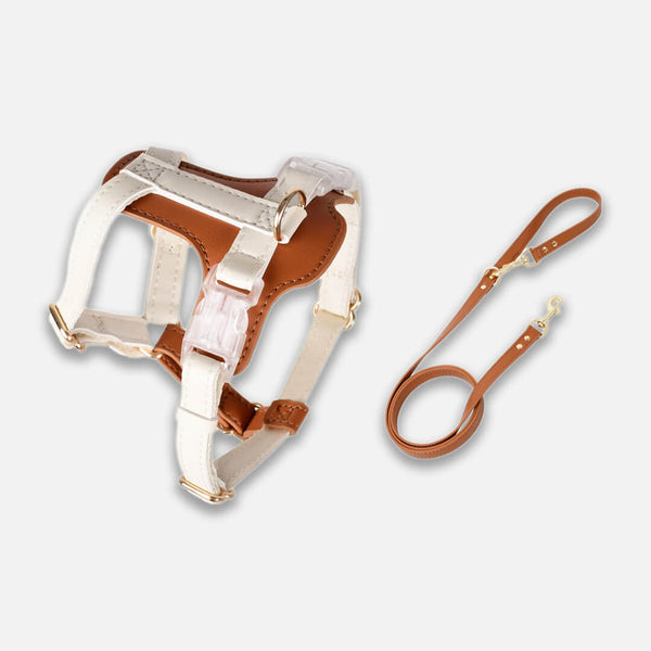 Brown Leather Cat Harness & Leash Set | MissyMoMo